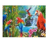 Puzzle reunion de perroquets castorland 2000 pieces - GENERIQUE G
