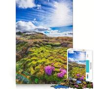 Puzzle Rigide Naturel pour Adultes, 1000 pièces, Jeu de logique Solide, Moments de Partage, Bords Nets, (38x26cm)