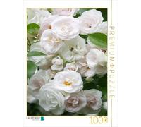 Puzzle · Roses Blanches | Rose 'Aspirin' à la floraison prodigue · 1000 pièces · Format assemblé 64 × 48 cm · CALVENDO Puzzle