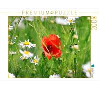 Puzzle · Roter Mohn und Margeriten | Ein Motiv aus dem Kalender Mohn, zarte Blüten, starke Farben · 2000 pièces · Format assemblé 90 × 67 cm · CALVENDO Puzzle