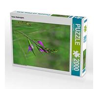 Puzzle · Rotes Waldvöglein 2000 Teile Puzzle Hoch | Ein Motiv aus dem Kalender Deutschlands wilde Orchideen · 2000 pièces · Format assemblé 90 × 67 cm · CALVENDO Puzzle