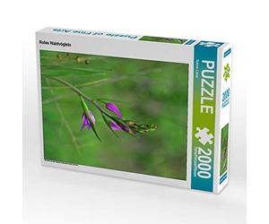 Puzzle · Rotes Waldvöglein 2000 Teile Puzzle Hoch | Ein Motiv aus dem Kalender Deutschlands wilde Orchideen · 2000 pièces · Format assemblé 90 × 67 cm · CALVENDO Puzzle