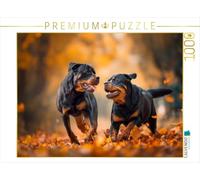 Puzzle · Rottweiler - Les joies de l'automne à Quatre Pattes | Ensemble à travers la mer de feuilles · 1000 pièces · Format assemblé 64 × 48 cm · CALVENDO Puzzle