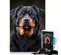 Puzzle Rottweiler Metzgerhund pour Adolescents 1000 pièces Décoration Murale apaisante et Amusante aux découpes nettes (38x26cm)