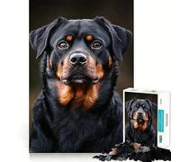 Puzzle Rottweiler Metzgerhund pour Adolescents 1000 pièces Stimule la mémoire Soulagement de la Tension Bords serrés Pièce d'art de qualité (38x52cm)
