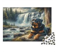 Puzzle Rottweiler près d'une Cascade pour Adulte décoration Murale Rottweiler en Cape près d'une Cascade Jeu éducatif de décompression 1000 pièces 52 x 38 cm