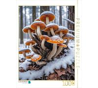 CALVENDO Puzzle de Pied en Velours dans la forêt hivernale givrée | 1000 pièces de Taille 48 x 64 cm Puzzle Photo pour des Heures heureuses