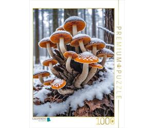 Puzzle · Rutabaga à Pied de Velours dans Une forêt ernale glaciale | Un miracle de champignons dans la neige: des pieds de velours… · 1000 pièces · Format assemblé 64 × 48 cm · CALVENDO Puzzle