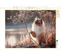 Puzzle · Sacré de Birmanie - La Magie du Premier Gel | Une matinée d' er magique · 1000 pièces · Format assemblé 64 × 48 cm · CALVENDO Puzzle