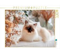Puzzle · Sacré de Birmanie - Un Instant d'harmonie | Une beauté tout en douceur · 1000 pièces · Format assemblé 64 × 48 cm · CALVENDO Puzzle