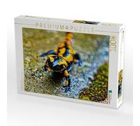 Puzzle · Salamandre tachetée en résine | Aux chutes de l'Ilse près d'Ilsenburg · 1000 pièces · Format assemblé 64 × 48 cm · CALVENDO Puzzle