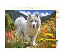 Puzzle · Samoyède dans la Prairie de Montagne | Magnifique excursion dans la nature · 1000 pièces · Format assemblé 64 × 48 cm · CALVENDO Puzzle