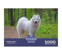 Puzzle Samoyède Stimulant 1000 pièces pour Adultes - Samoyède Blanc Debout sur Un Chemin forestier, Langue Sortie, Papier recyclé | Cadeau Amusant - 70x50cm/1000 pièces