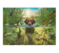 Puzzle - SCHMIDT - Labrador chocolat à la baignade - 1000 pièces - 69.3 x 49.3 cm - Pour adultes