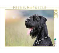 Puzzle · Schnauzer géant - Le Chien de l'âme | 1000 pièces · Format assemblé 64 × 48 cm · CALVENDO Puzzle