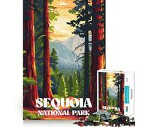 Puzzle Sequoia Sunset Trail 1000 pièces pour Adolescents Jeu de réflexion Moment de Paix Découpe de qualité supérieure Cadeau Artistique (38x26cm)