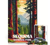 Puzzle Sequoia Sunset Trail pour Adolescents, 1000 pièces, Casse-tête Relaxant et ludique, (50x75cm)