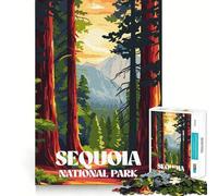 Puzzle Sequoia Sunset Trail pour Adolescents, 1000 pièces, Casse-tête Relaxant et ludique, (50x75cm)