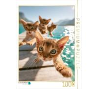 Puzzle · Sommer, Sonne, Katzenabenteuer | 1000 pièces · Format assemblé 64 × 48 cm · CALVENDO Puzzle