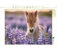 Puzzle · Sommer voller Glücksmomente