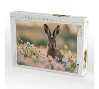 Puzzle · Sommerglück Auf Langen Ohren | 1000 pièces · Format assemblé 64 × 48 cm · CALVENDO Puzzle