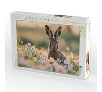 Puzzle · Sommerglück Auf Langen Ohren | 2000 pièces · Format assemblé 90 × 67 cm · CALVENDO Puzzle