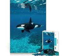 Puzzle sous-Marin Orca 1000 pièces pour Adolescents Puzzle Relaxant et Lumineux Cadeau Exquis (38x26cm)