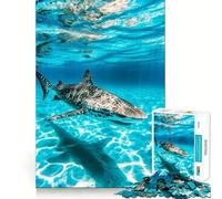 Puzzle sous-Marin Requin Zèbre 1000 pièces Stimulation Cognitive Pièces nettes et sans bavures Jouet d'intérieur idéal pour Les Vacances (38x52cm)