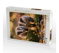 Puzzle · Spielen im Herbstlicht | 1000 pièces · Format assemblé 64 × 48 cm · CALVENDO Puzzle