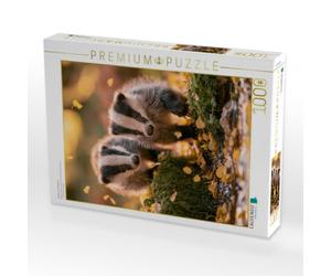 Puzzle · Spielen im Herbstlicht | 1000 pièces · Format assemblé 64 × 48 cm · CALVENDO Puzzle
