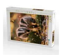 Puzzle · Spielen im Herbstlicht | 2000 pièces · Format assemblé 90 × 67 cm · CALVENDO Puzzle