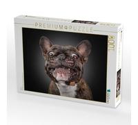 Puzzle · Spike | Bully, bouledogue français · Spike · 1000 pièces · Format assemblé 64 × 48 cm · CALVENDO Puzzle