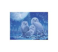 Ravensburger Puzzle 500 pièces Chouettes au clair de lune Phosphorescent dès 10 ans 16595