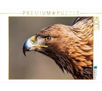 Puzzle · Steinadler - Der Blick des Königs | Kraft, Würde und ein faszinierender Blick · 1000 pièces · Format assemblé 64 × 48 cm · CALVENDO Puzzle