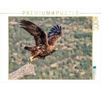 Puzzle · Steinadler - Kraftvoller Aufbruch | Mit voller Kraft in die Freiheit · 1000 pièces · Format assemblé 64 × 48 cm · CALVENDO Puzzle