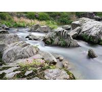 Puzzle Stone Stream de 4000 pièces pour Adultes : Cadeau éducatif et intellectuel, idéal pour décorer Votre intérieur (14 Ans+)