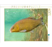 CALVENDO Puzzle de la tanche dans la rivière Ain, Bourgogne-Franche-Comté | 1000 pièces Taille de la Pose 64 x 48 cm Puzzle Photo pour des Heures heureuses