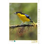 Puzzle · Tangara à Ailes Bleues (Tangara cyanoptera | 1000 pièces · Format assemblé 64 × 48 cm · CALVENDO Puzzle