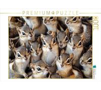 Puzzle · Tas de câlins de Chipmunks | 1000 pièces · Format assemblé 64 × 48 cm · CALVENDO Puzzle