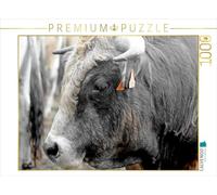 Puzzle · Taureau Aubrac | 1000 pièces · Format assemblé 64 × 48 cm · CALVENDO Puzzle