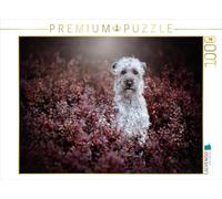 Puzzle · Terrier Irlandais à Poil Doux | Perdu dans un rêve d'automne · Une délicatesse qui enchante · 1000 pièces · Format assemblé 64 × 48 cm · CALVENDO Puzzle