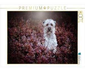 Puzzle · Terrier Irlandais à Poil Doux | Perdu dans un rêve d'automne · Une délicatesse qui enchante · 1000 pièces · Format assemblé 64 × 48 cm · CALVENDO Puzzle
