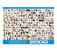 Puzzle the world of dogs multicolore adulte animaux 2000 pieces - Eurographics G