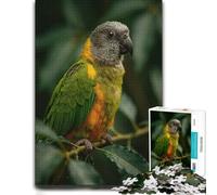 Puzzle Thématique Brown and Green Parrot pour Adultes, Format 500 PCS