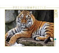 Puzzle · Tigre | 1000 pièces · Format assemblé 64 × 48 cm · CALVENDO Puzzle