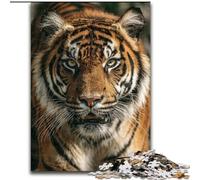 Puzzle Tigre 1000 pièces pour Adultes et Adolescents, pour Un Moment de détente et de Partage, pour Un Amour de Couple Plus Intense (50x75cm)