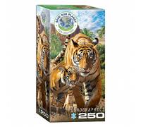 Puzzle - Tigre - 250 Pièces