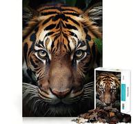 Puzzle Tigre Gros Plan 1000 Pièces pour Adolescents Jeu de Réflexion Design Confortable et Détente 50x75cm