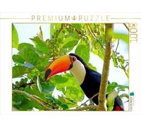 Puzzle · Toco (Ramphastos Toco | La faune fascinante du Pantanal au Brésil · 1000 pièces · Format assemblé 64 × 48 cm · CALVENDO Puzzle