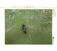 Puzzle · Toile d'araignée avec Gouttes de rosée | Beauté des toiles d'araignée · 1000 pièces · Format assemblé 64 × 48 cm · CALVENDO Puzzle
